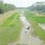 নদীর বুকে ফসলের মাঠ
