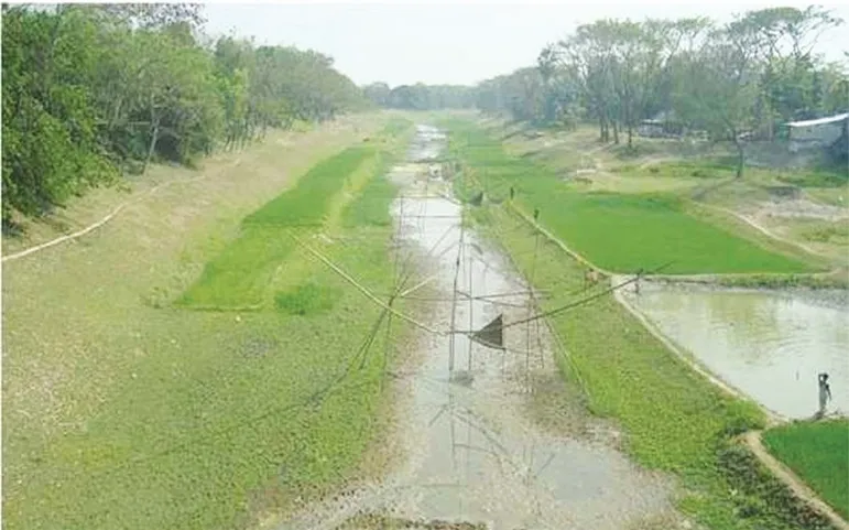 নদীর বুকে ফসলের মাঠ