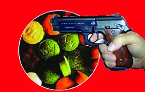 সীমান্ত দিয়ে ঢুকছে মাদক, অস্ত্র, জড়িত শতাধিক সিন্ডিকেট
