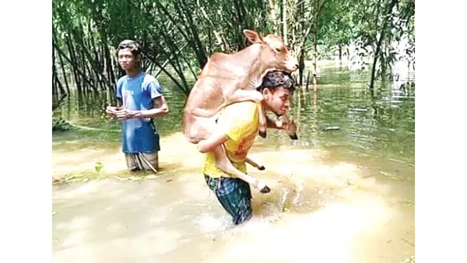 খাদ্য ও বিশুদ্ধ পানির তীব্র সঙ্কটে পানিবন্দী মানুষ