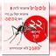ডেঙ্গু আতঙ্ক