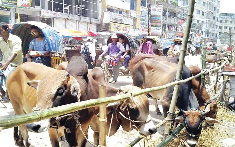 ভোগান্তিতে স্থানীয়রা