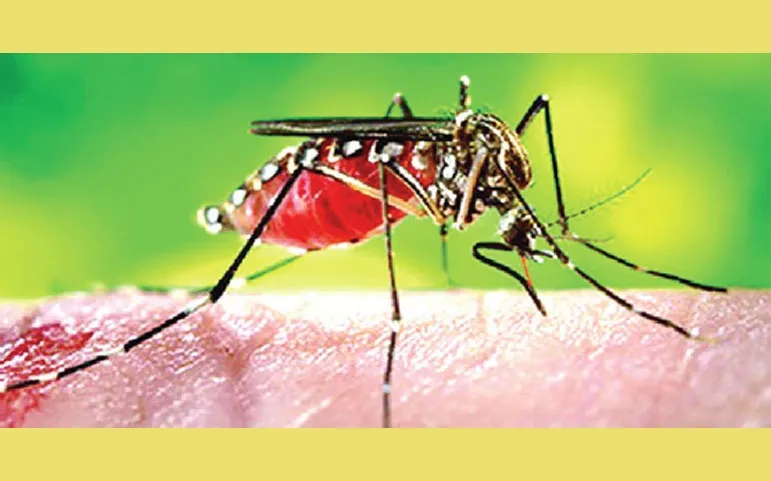 ১৯ বছরের চেয়ে বেশি রোগী আগস্টে
