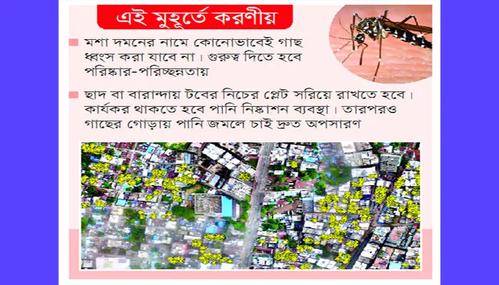প্রশ্নবিদ্ধ ছাদবাগান!