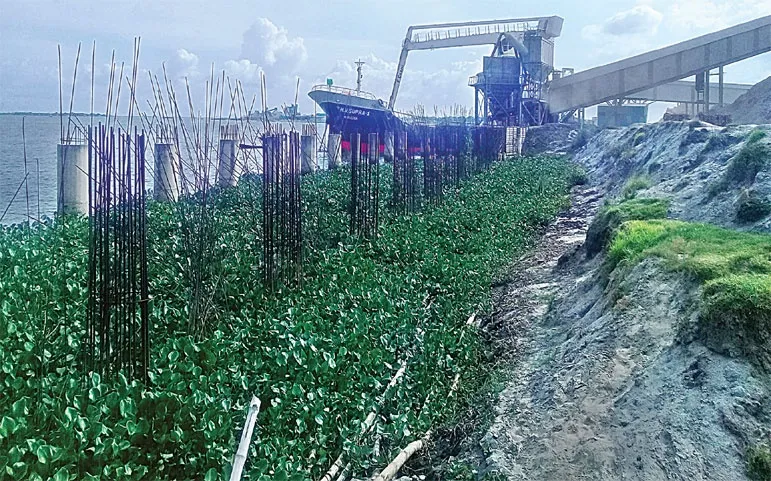 মেঘনার কান্না