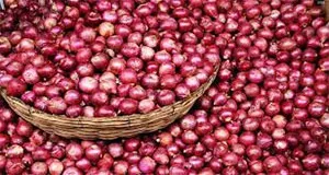 পিয়াজের কেজি একলাফে বেড়ে ৭০ টাকা