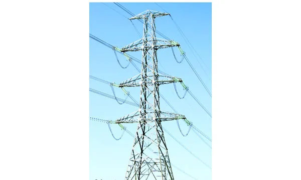ভারতীয় বিদ্যুৎ নির্ভরতা বাড়ছে