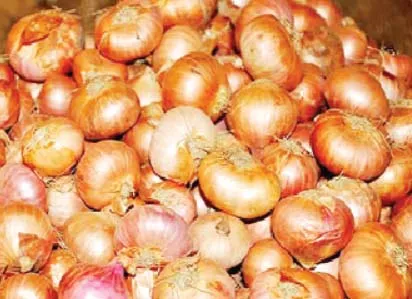 কেজিতে ৪০ টাকা বেড়ে পেঁয়াজ এখন ১২০ টাকা