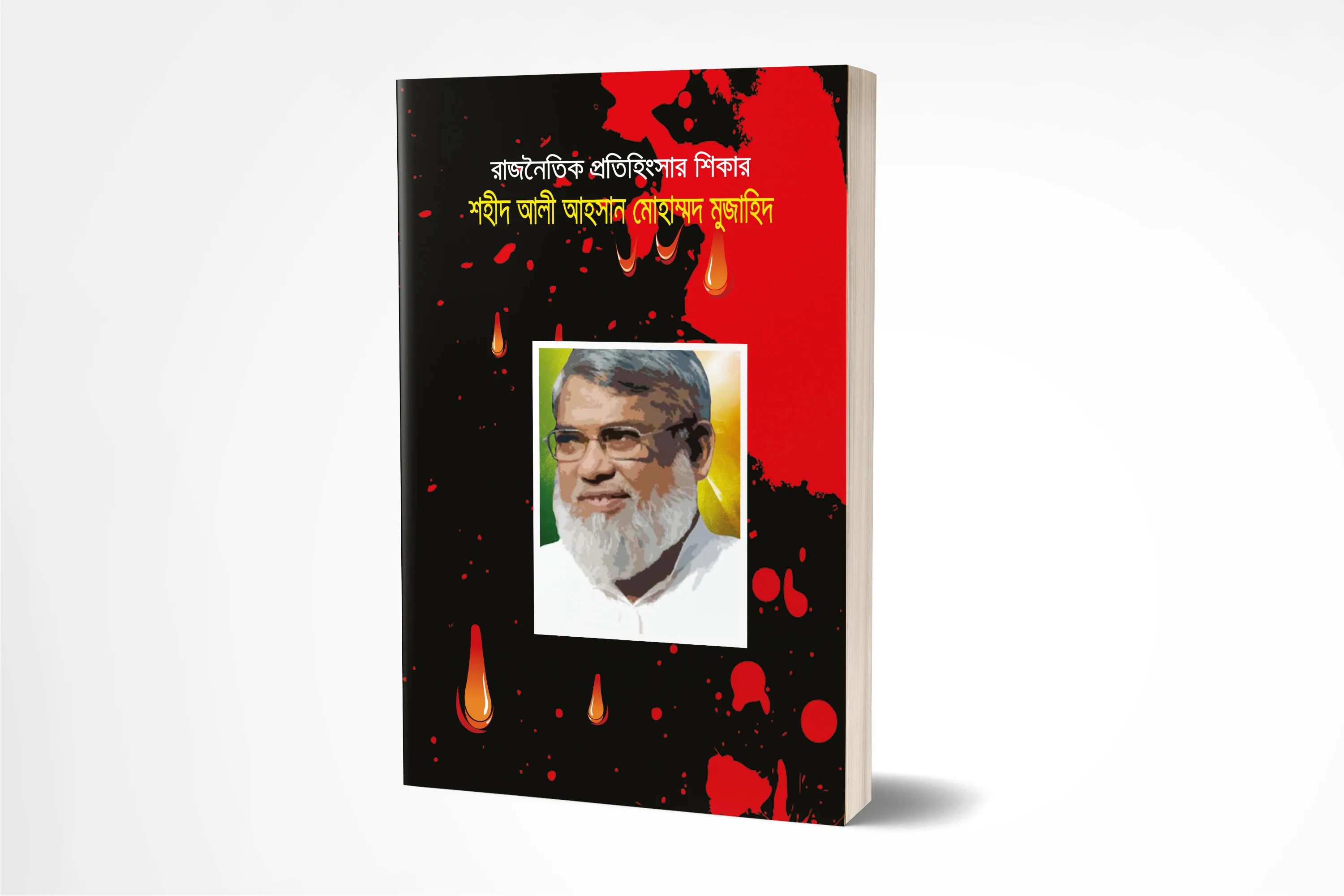 রাজনৈতিক প্রতিহিংসার শিকার শহীদ আলী আহসান মোহাম্মদ মুজাহিদ