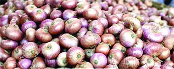কোনো উদ্যোগেই দাম কমছে না পিয়াজের