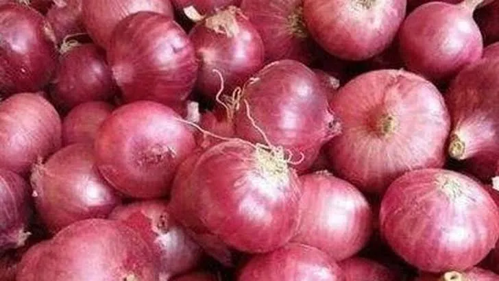 পেঁয়াজের দাম বাড়ছেই