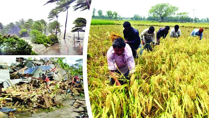 খাদ্যনিরাপত্তায় আমাদের করণীয়