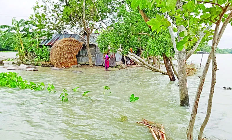 উপকূলে ফল-ফসল বলতে কিছু নেই