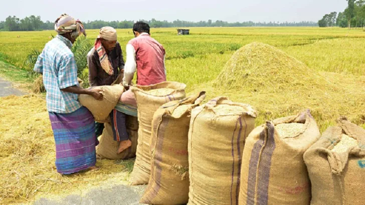সরকারি গুদামে ধান-চাল দিতে কৃষকের অনীহা
