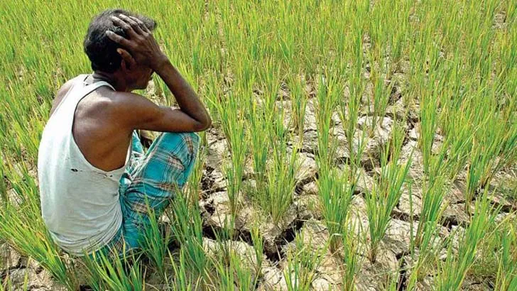 দেশের ৮৪ শতাংশ কৃষক মূলধন সংকটে
