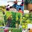 দুর্বল কৃষি ব্যবস্থায় বঞ্চিত কৃষক