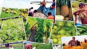 দুর্বল কৃষি ব্যবস্থায় বঞ্চিত কৃষক