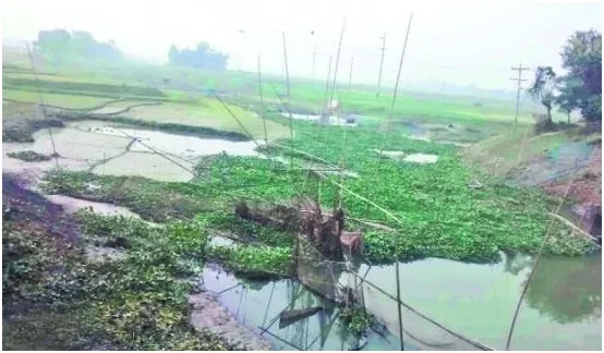উত্তরাঞ্চলের বেশির ভাগ বিল নদী শুকিয়ে গেছে