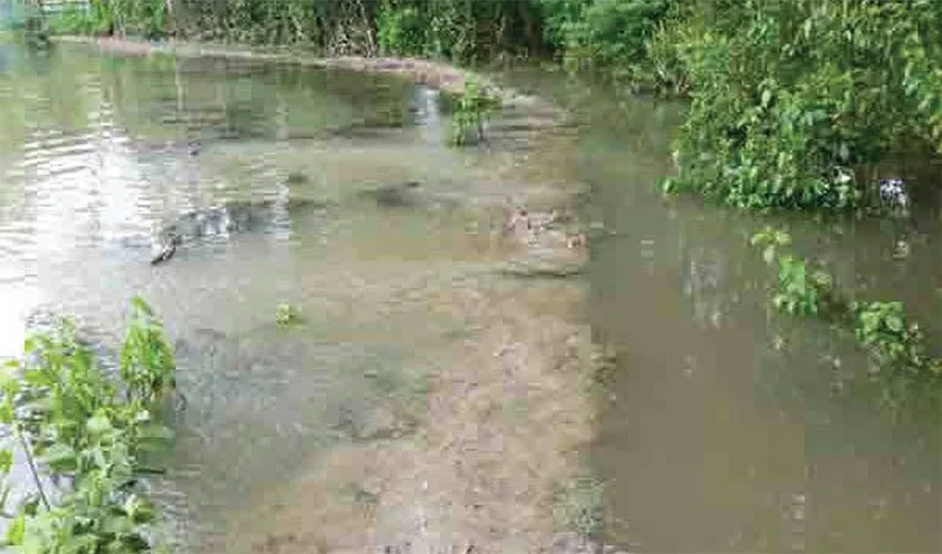 জোয়ারে নিঃস্ব উপকূলবাসী