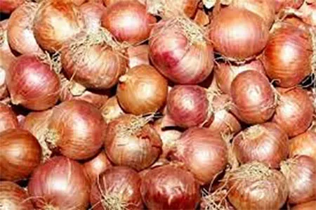 কারসাজির চোরাবালিতে পিয়াজের দাম