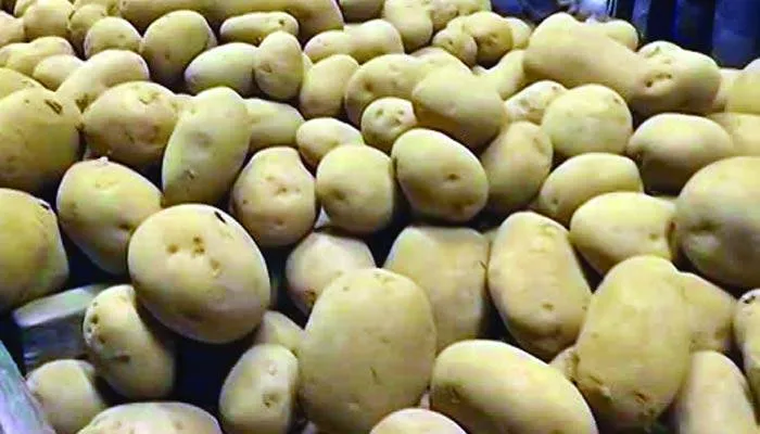 কাদের নিয়ন্ত্রণে আলুর বাজার