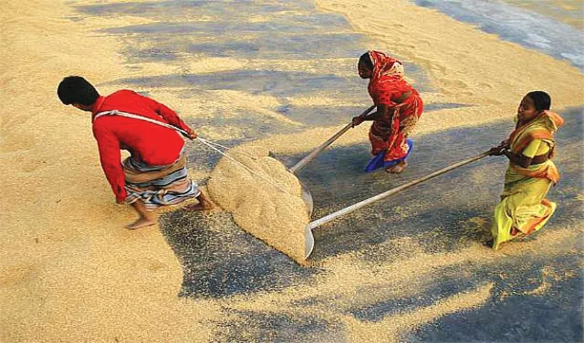 আর্থিকভাবে অক্ষম হচ্ছেন কৃষক
