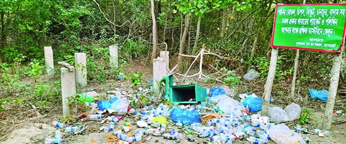 দূষণ বাড়ছে সুন্দরবনে