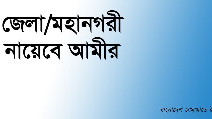 জেলা/মহানগরী নায়েবে আমীর