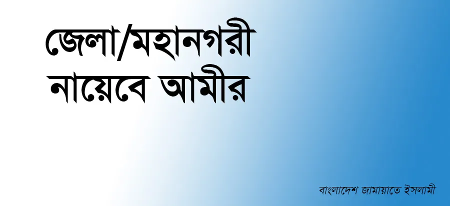 জেলা/মহানগরী নায়েবে আমীর