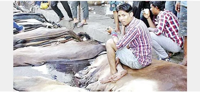 মুখ থুবড়ে পড়েছে ৫ বিলিয়ন ডলার রফতানির সম্ভাবনাময় খাত চামড়া শিল্প