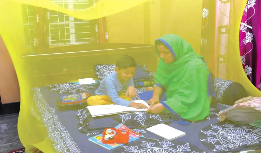 মশায় দুর্বিষহ নগরজীবন