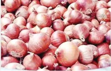 একদিনেই কেজিতে পেঁয়াজের দাম বাড়ল ১০ টাকা