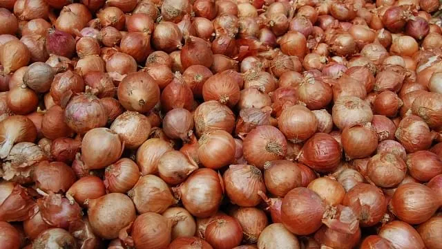 পেঁয়াজের দাম কেজিতে ১০ টাকা বাড়ল