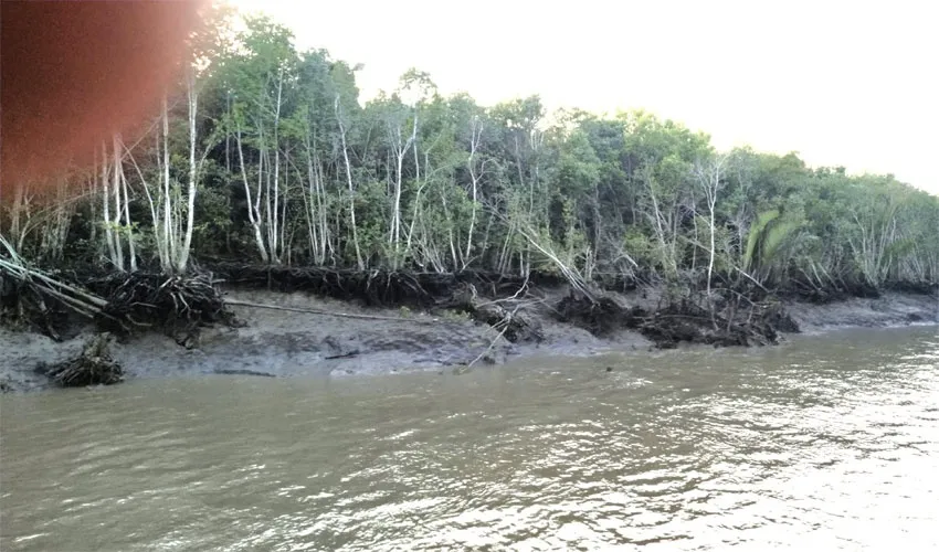 ভয়াবহ হুমকিতে সুন্দরবন