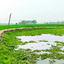 ময়মনসিংহে নিশ্চিহ্ন হচ্ছে নদী