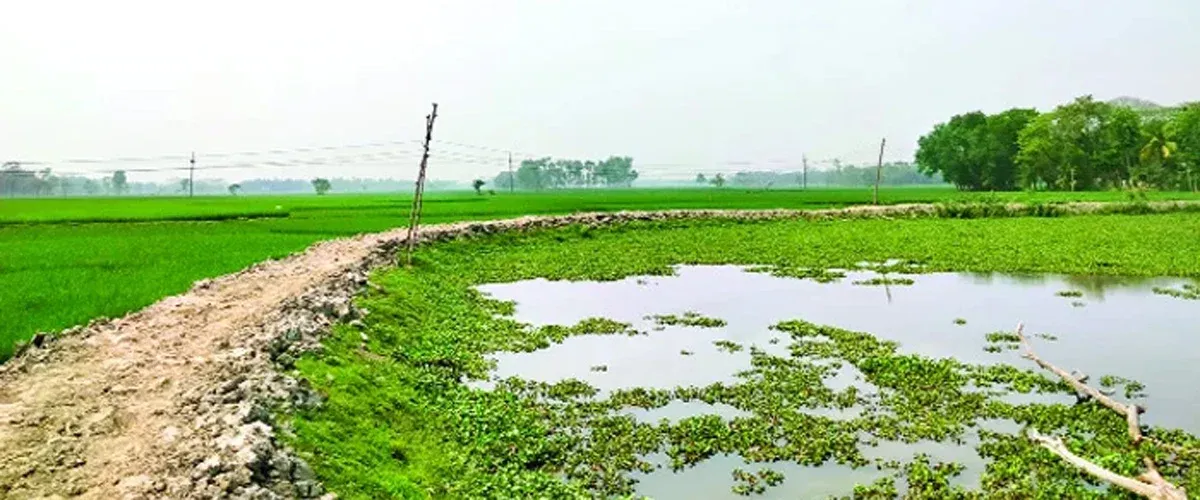 ময়মনসিংহে নিশ্চিহ্ন হচ্ছে নদী