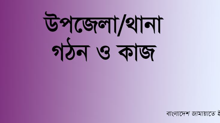 উপজেলা/থানা গঠন ও কাজ