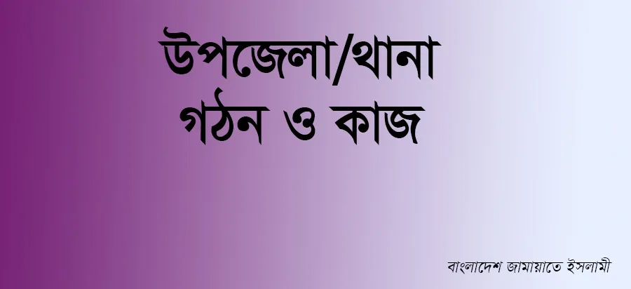 উপজেলা/থানা গঠন ও কাজ