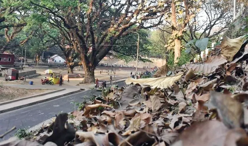 খরতাপে পুড়ছে দেশ