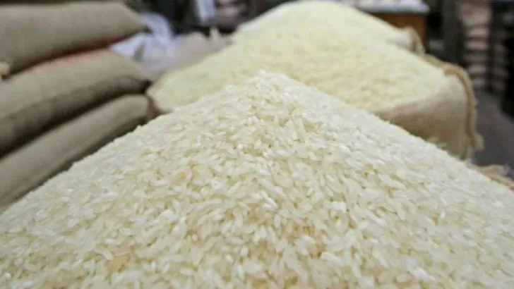 ভেস্তে গেল নিম্নমানের গম আমদানির আয়োজন