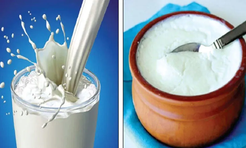 দুধ দইয়ের দামও বাড়ল’