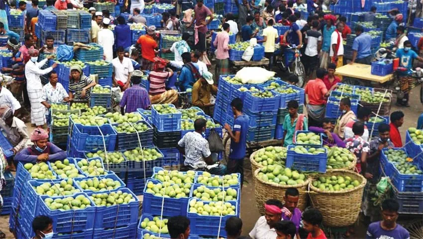 সীমান্তের ৭ জেলায় করোনা বিপর্যয়