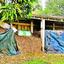 শিক্ষাপ্রতিষ্ঠানগুলো যেন বাসা-বাড়ি