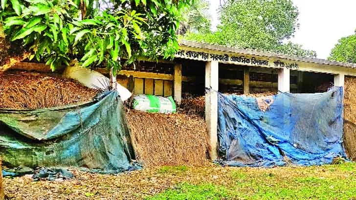 শিক্ষাপ্রতিষ্ঠানগুলো যেন বাসা-বাড়ি