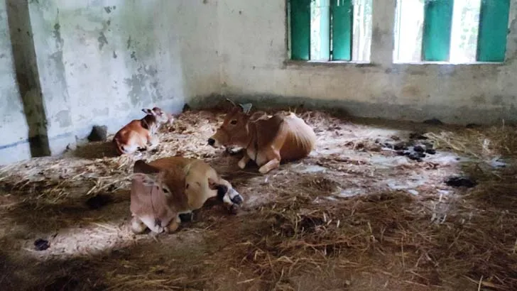 স্কুলের জায়গা দখল করে স্থাপনা