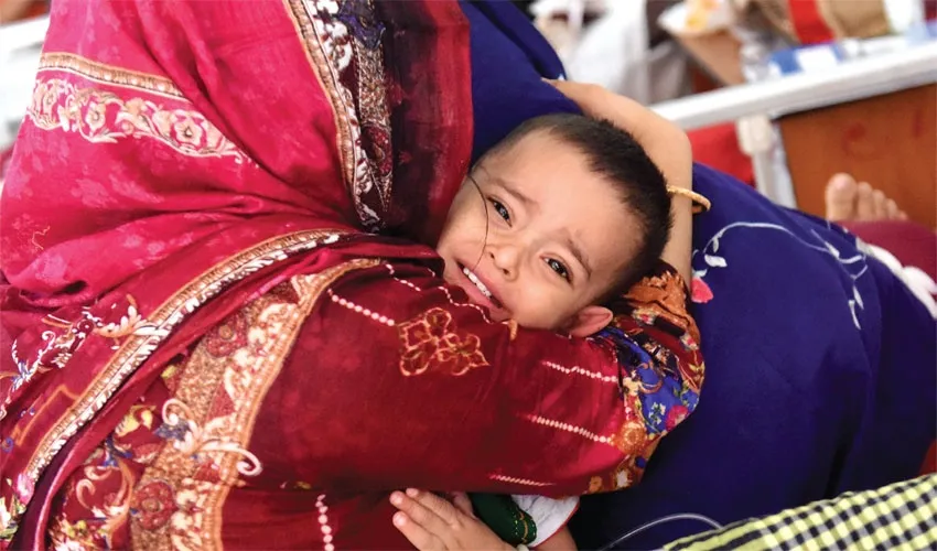 হুল ফুটাচ্ছে এডিস মশা