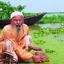 হাওরে ঘোর দুর্দিন