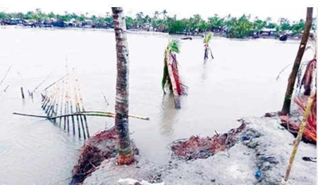 জলবায়ু বিপর্যয়ে হুমকিতে সাতক্ষীরাসহ উপকূলের খাদ্য নিরাপত্তা