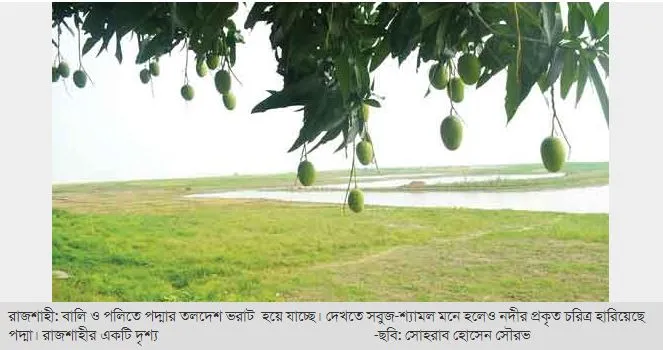পদ্মার তলদেশ ভরাট হয়েছে ৭ ফুট