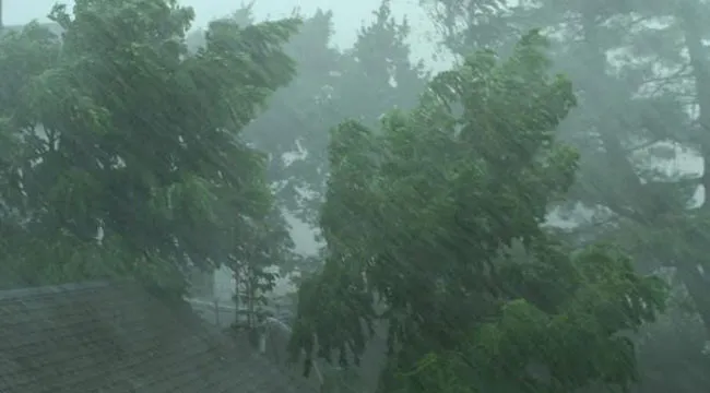 জলবায়ু পরিবর্তনে অসময়ে ভারী বর্ষণ ভেসে যাচ্ছে ফসল